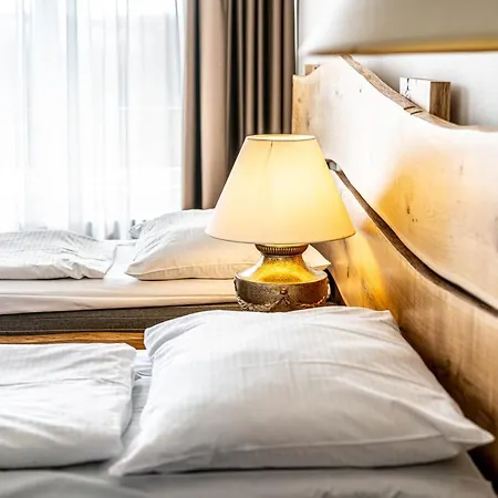 Hotel Fontana Brünn
